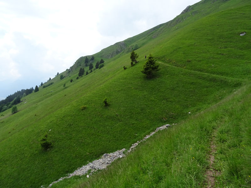 malridotta e da determinare........